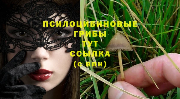 марки nbome Белокуриха