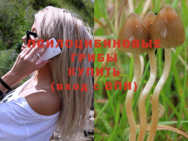 бутират Белоозёрский