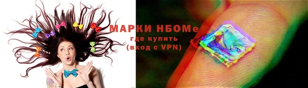 прущие грибы Беломорск