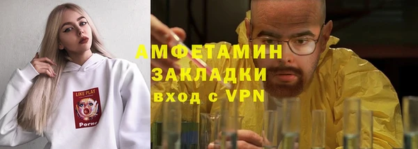 прущие грибы Беломорск