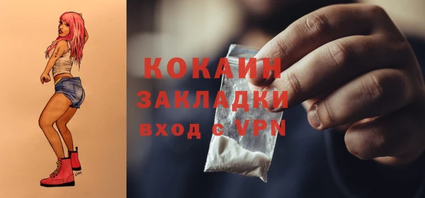 прущие грибы Беломорск
