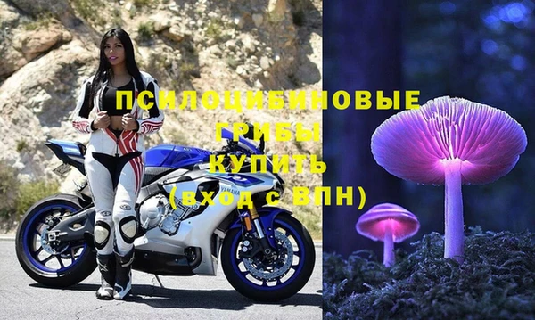 марки nbome Белокуриха