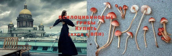 марки nbome Белокуриха