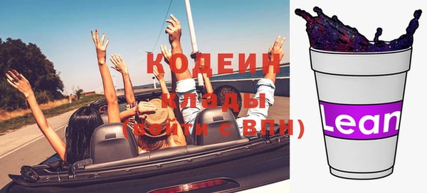 прущие грибы Беломорск