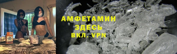 прущие грибы Беломорск