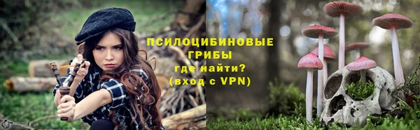 прущие грибы Беломорск