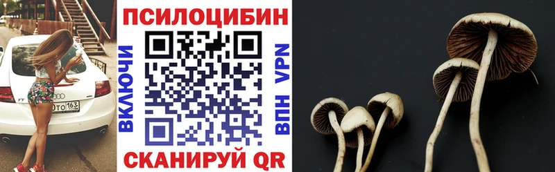 Купить  Баймак  Галлюциногенные грибы MAGIC MUSHROOMS 